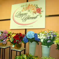 Магазин Радуга цветов